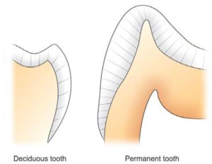 enamel